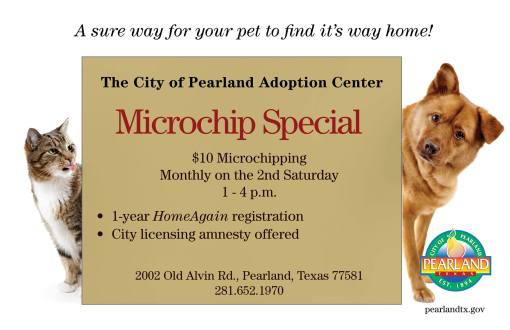 11698931_806779409443257_4513661107230974476_o