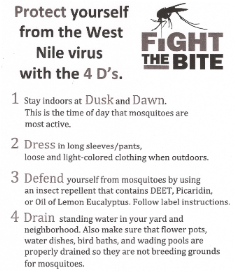 12011253_910808872301465_5575245685380133263_n