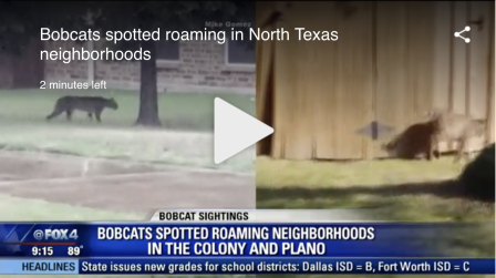 Screen Shot 2025-08-17 at 10.13.22 AM