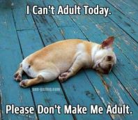 4611a8dc193f5418a638b05423e231df